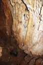 grotta_a_S_del_casello_ferroviario_di_fernetti_018_629_3304_Vg_121018.JPG
