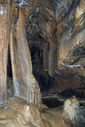 grotta_del_bosco_dei_pini_011_130610.JPG