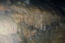grotta_del_bosco_dei_pini_035_130610.JPG