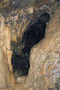 grotta_del_bosco_dei_pini_045_130610.JPG
