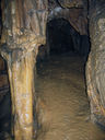 grotta_del_bosco_dei_pini_053_130610.JPG