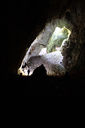 grotta_delle_torri_di_slivia_22_39_Vg_037_260515.jpg