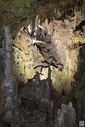 grotta_di_san_Lorenzo_084.JPG