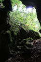 grotta_nel_bosco_fornace_005_140716.jpg