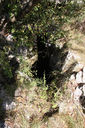 grotta_romana_035_020812.JPG